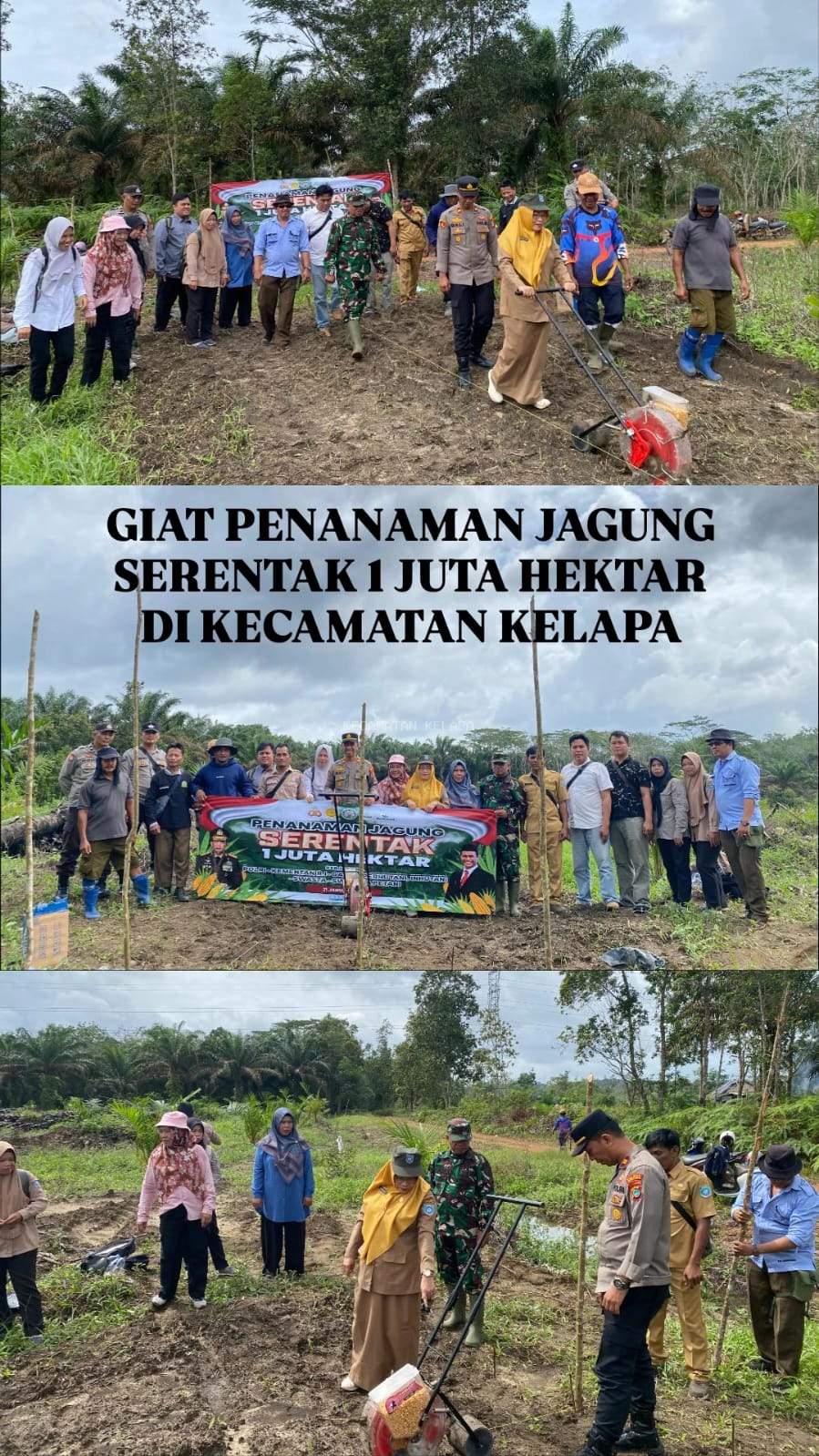 GIAT PENANAMAN JAGUNG SERENTAK 1 JUTA HEKTAR DI WILAYAH KECAMATAN KELAPA